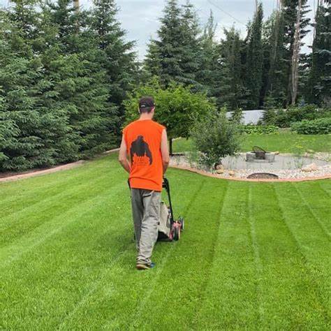 One Time Lawn Care 