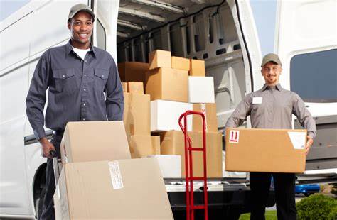 movers movers